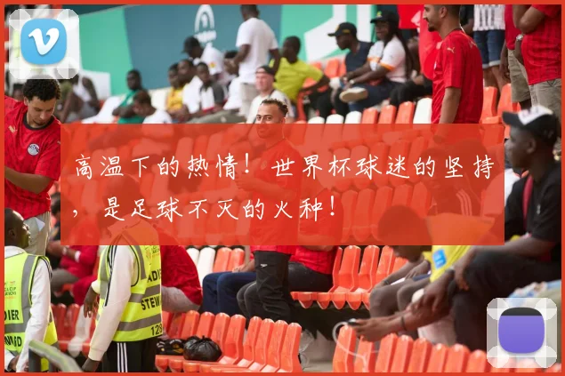 高温下的热情！世界杯球迷的坚持，是足球不灭的火种！